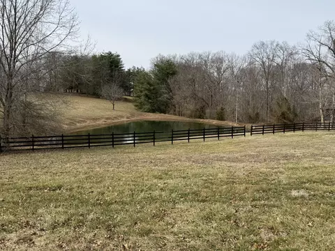 View/Area - 176 The Village Dr, Nancy, KY 42544 photo 7 of 14