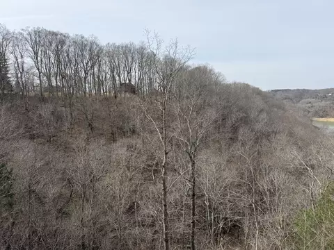 View/Area - 176 The Village Dr, Nancy, KY 42544 photo 6 of 14
