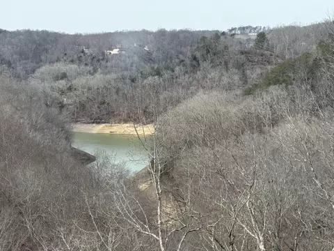 View/Area - 176 The Village Dr, Nancy, KY 42544 photo 3 of 14