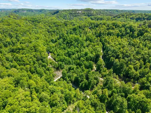 View/Area - 99 Aider Ct, Stanton, KY 40380 photo 2 of 9