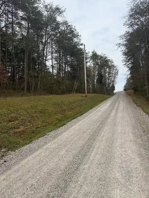 14 Buck Tail Drive, Burnside, KY 42519 photo 5