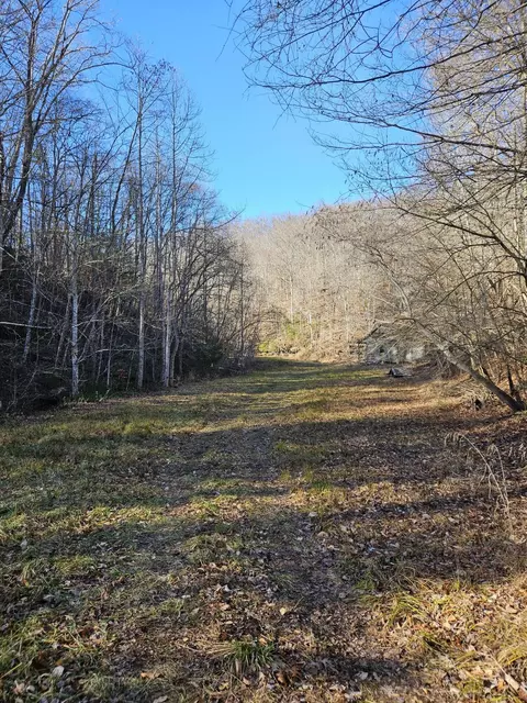 0 Lick Fork Rd, Sandy Hook, KY 41171