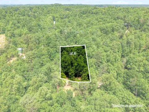 55 Low Ridge Rd, Campton, KY 41301 photo 4