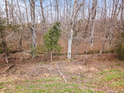 0 Ben Roy Rd, Nancy, KY 42544 photo 20