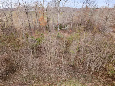 0 Ben Roy Rd, Nancy, KY 42544 photo 8