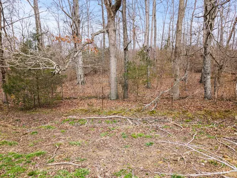 0 Ben Roy Rd, Nancy, KY 42544 photo 19