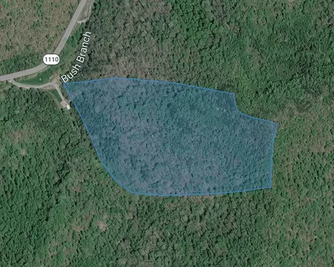0 Bushes Br, Jackson, KY 41339
