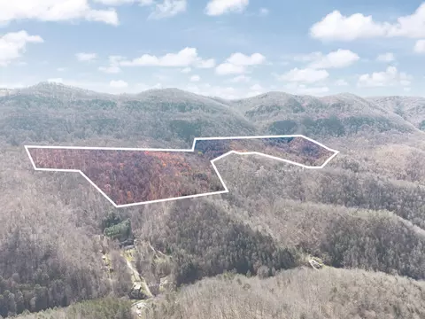 790 Dinah Blair Hollow Rd, Whitesburg, KY 41858