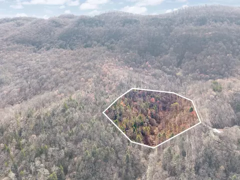 482 Dinah Blair Hollow Rd, Whitesburg, KY 41858