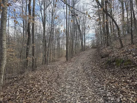 3 Maple Grove Road, Orlando, KY 40460