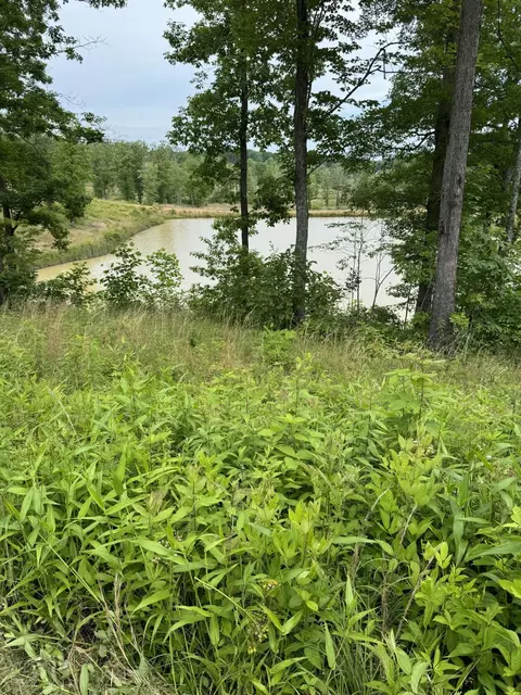 103 Twin Ponds Rd, Corbin, KY 40701