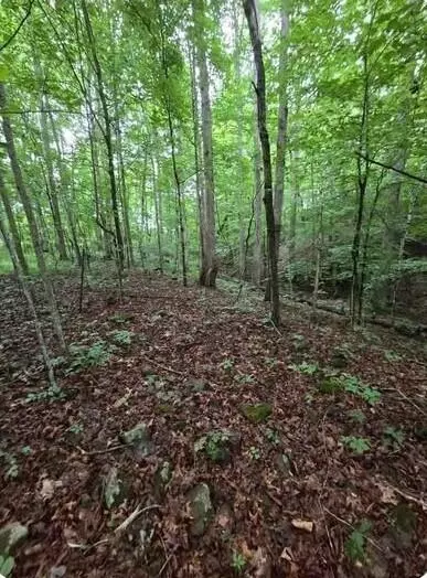 0 Beechmont Rd, Morehead, KY 40351 photo 6
