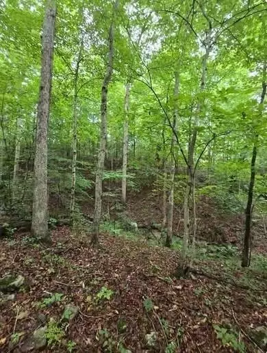 0 Beechmont Rd, Morehead, KY 40351 photo 4