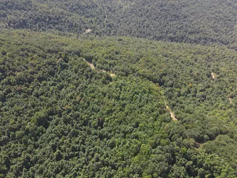 0 Corder Flat Rd, Strunk, KY 42649 photo 7