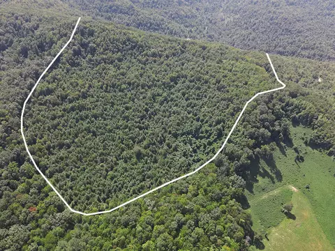 0 Corder Flat Rd, Strunk, KY 42649 photo 3