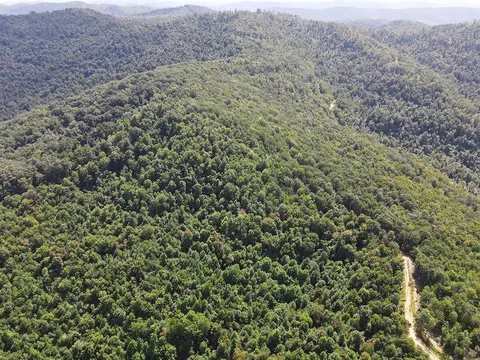 0 Corder Flat Rd, Strunk, KY 42649 photo 10