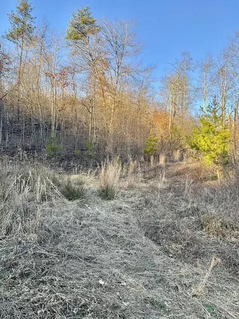 0 Bull Hollow Rd, Manchester, KY 40962