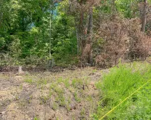 lot6 Block E Unit 3 Parrott Dr, Somerset, KY 42501