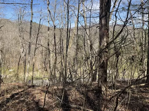 04 Caney Branch Spur Rd, Burnside, KY 41519 photo 6