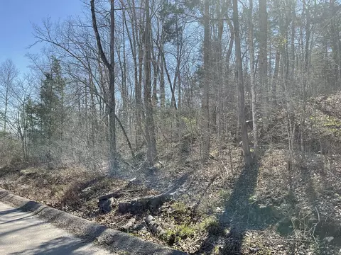 04 Caney Branch Spur Rd, Burnside, KY 41519 photo 2