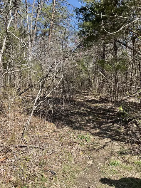 04 Caney Branch Spur Rd, Burnside, KY 41519 photo 3