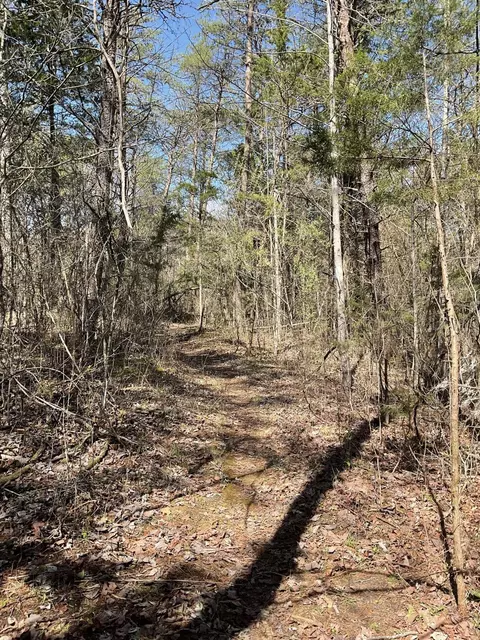 53 Caney Branch Spur Rd, Burnside, KY 42519