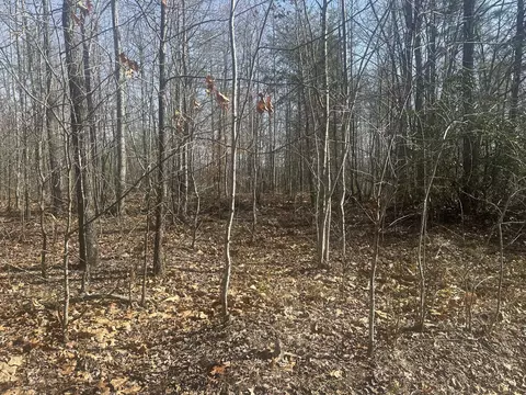 10 Ac Old Beaty Pvt Rd, Strunk, KY 42649