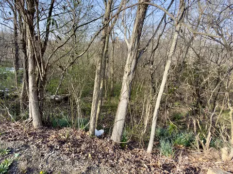 794 Missouri Valley Rd, Monticello, KY 42633