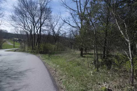 0 Davis Turkey Foot Rd, Sadieville, KY 40370