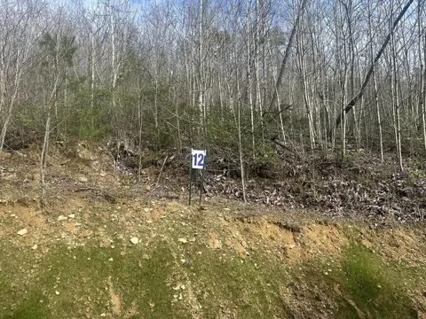 lot12 Sleepy Hollow Rd, East Bernstadt, KY 40729