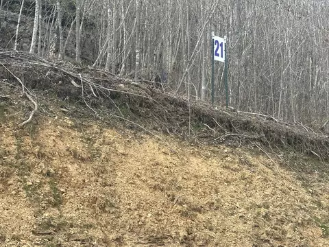 lot21 Sleepy Hollow Rd, East Bernstadt, KY 40729