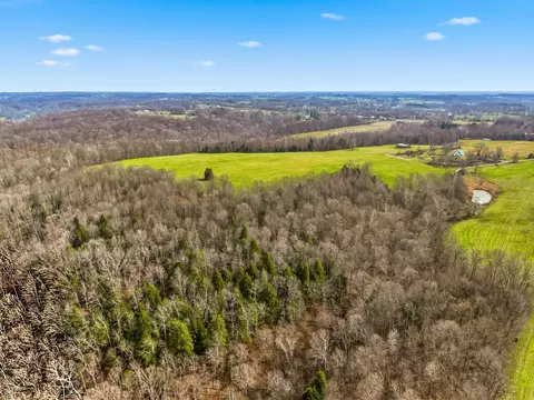295 Spencer Gabbert Ln, Eubank, KY 42567 photo 12