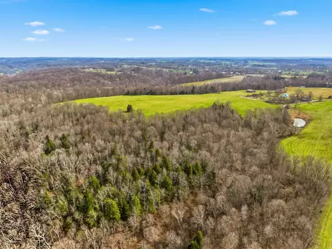 295 Spencer Gabbert Ln, Eubank, KY 42567 photo 16