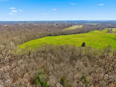 295 Spencer Gabbert Ln, Eubank, KY 42567 photo 15