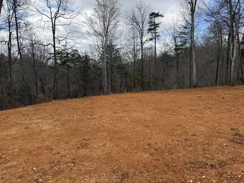 lot3 Phase 2 Stearns Hollow Rd, Monticello, KY 42633