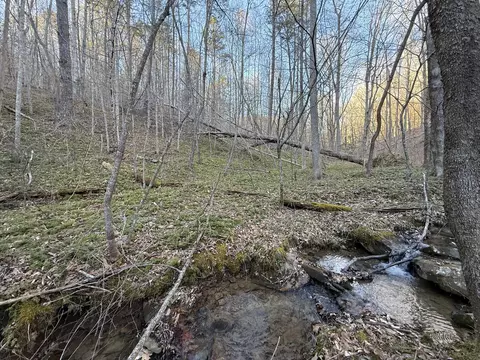 9991 Red Hill Rd, Livingston, KY 40445