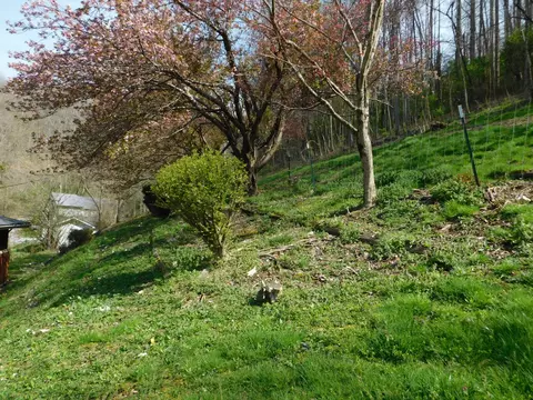 Exterior - 116 Wolf Hollow Rd, Baxter, KY 40806 photo 32 of 40