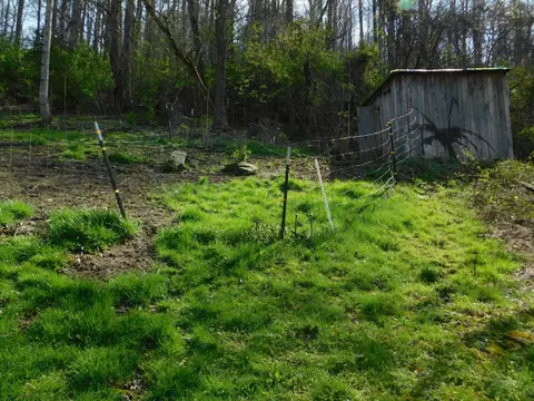 Exterior - 116 Wolf Hollow Rd, Baxter, KY 40806 photo 31 of 40