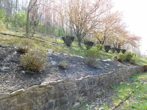 Exterior - 116 Wolf Hollow Rd, Baxter, KY 40806 photo 12 of 40