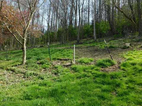 Exterior - 116 Wolf Hollow Rd, Baxter, KY 40806 photo 30 of 40