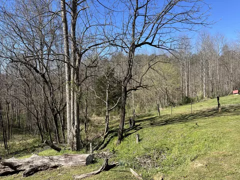 617 Walk Log Branch Rd, Beattyville, KY 41311