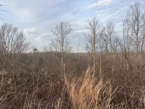 637 Walk Log Branch Rd, Beattyville, KY 41311