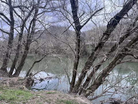 View/Area - 59 River Rd, Miracle, KY 40856 photo 4 of 12