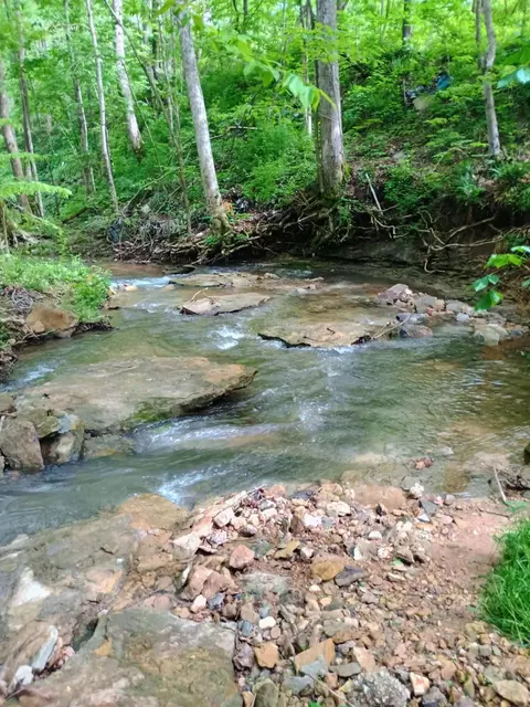 495 Clear Fork Branch Rd, Eubank, KY 42567 photo 2