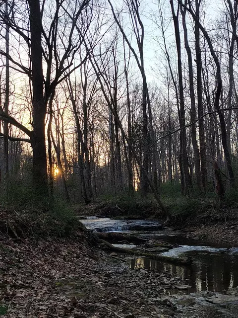 495 Clear Fork Branch Rd, Eubank, KY 42567 photo 3
