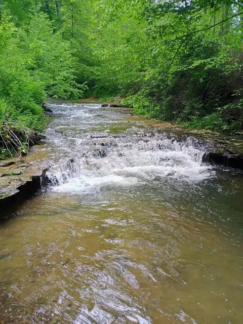 495 Clear Fork Branch Rd, Eubank, KY 42567