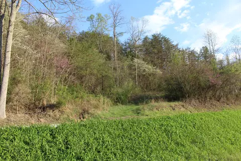 3602 Wagersville Rd, Irvine, KY 40336