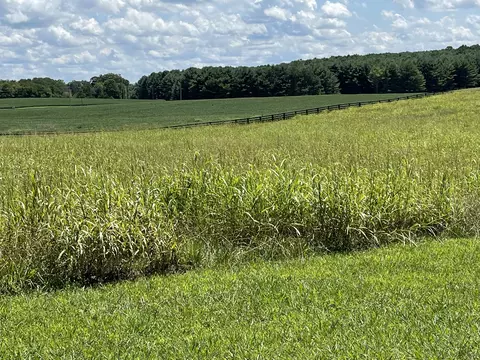 40 Beacon St, Russell Springs, KY 42642
