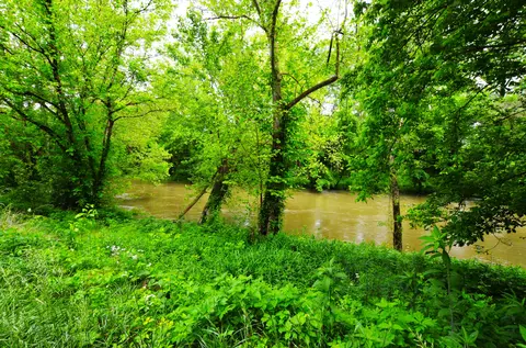 73 Butter Point Rd, Jackson, KY 41339 photo 3