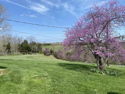 317 Short Rd, Salvisa, KY 40372